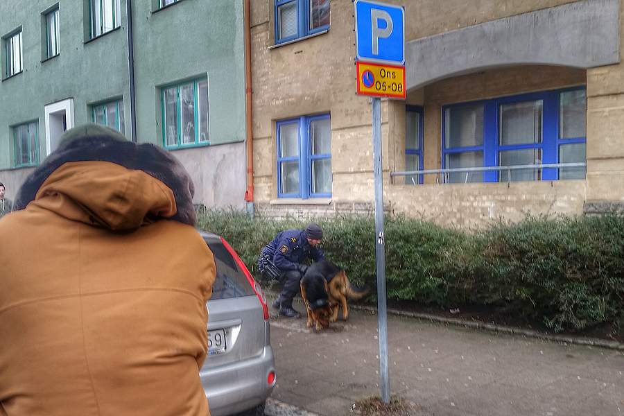 Hundpatruller sökte av området intill platsen för skjutningen.