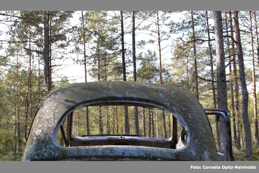 Cornelia Opitz-Reinholdz fotografier visas i baren på Pumphuset 18 februari till den 23 mars.