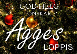 https://www.landskronadirekt.com/wp-content/uploads/2017/12/agges_plugg-1.jpg