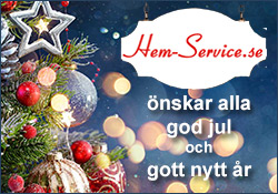https://www.landskronadirekt.com/wp-content/uploads/2020/12/hemservice.jpg