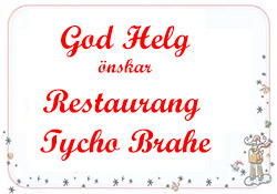 https://www.landskronadirekt.com/wp-content/uploads/2020/12/tycho-brahe-1.jpg