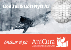 https://www.landskronadirekt.com/wp-content/uploads/2021/12/anicura.jpg